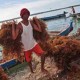 RI Gandeng Filipina Kembangkan Rumput Laut